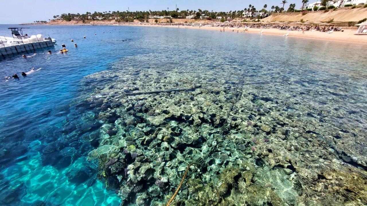 Daire Collemare Coralbay Şarm El-Şeyh