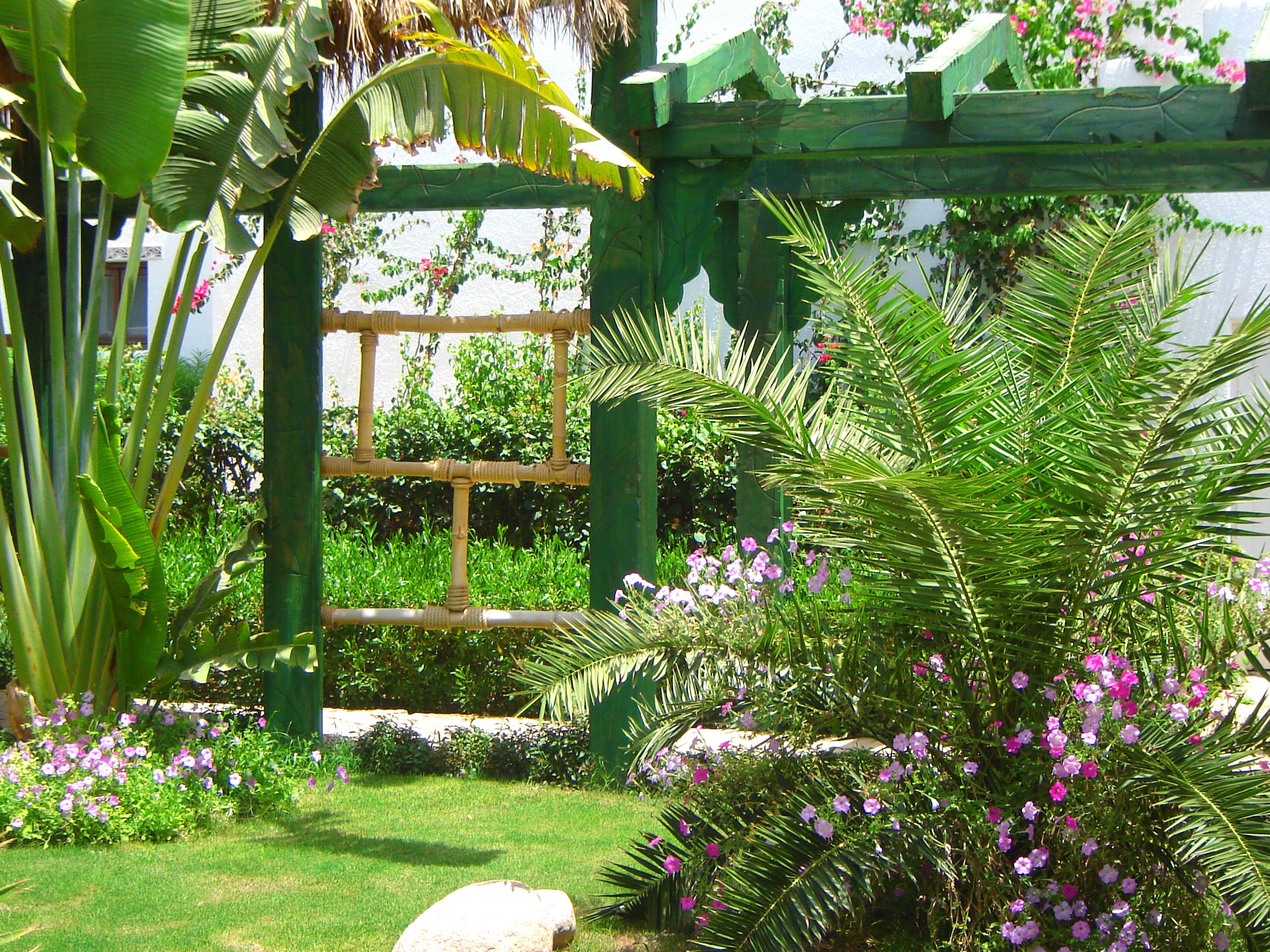 Resort Delta ,official Web, Delta Rent, Sheikh, South Sinai, Egypt