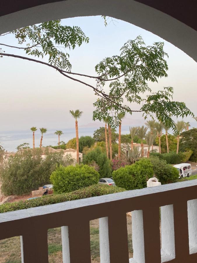 Apartment Harem Deluxe Queen ~ Sheik Sharm el-Sheikh