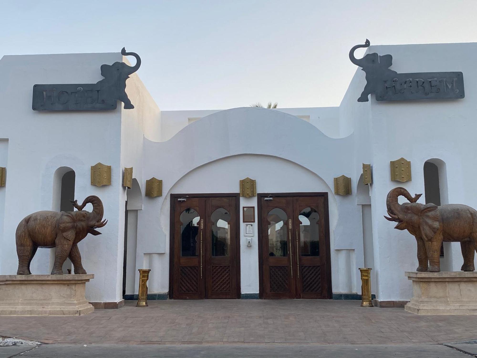 Apartment Harem Deluxe Queen ~ Sheik Sharm el-Sheikh
