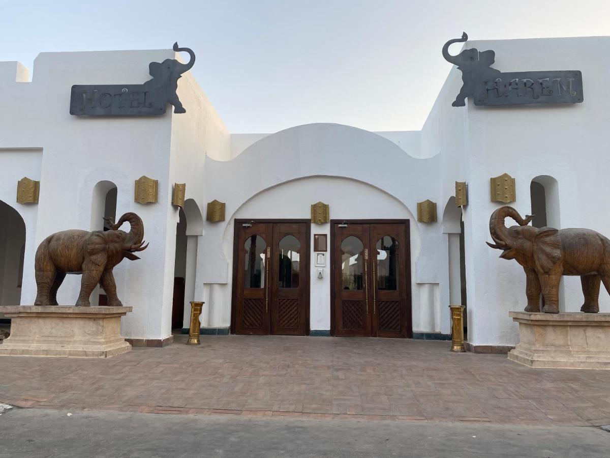 Harem Deluxe Queen ~ Sheik Apartment *