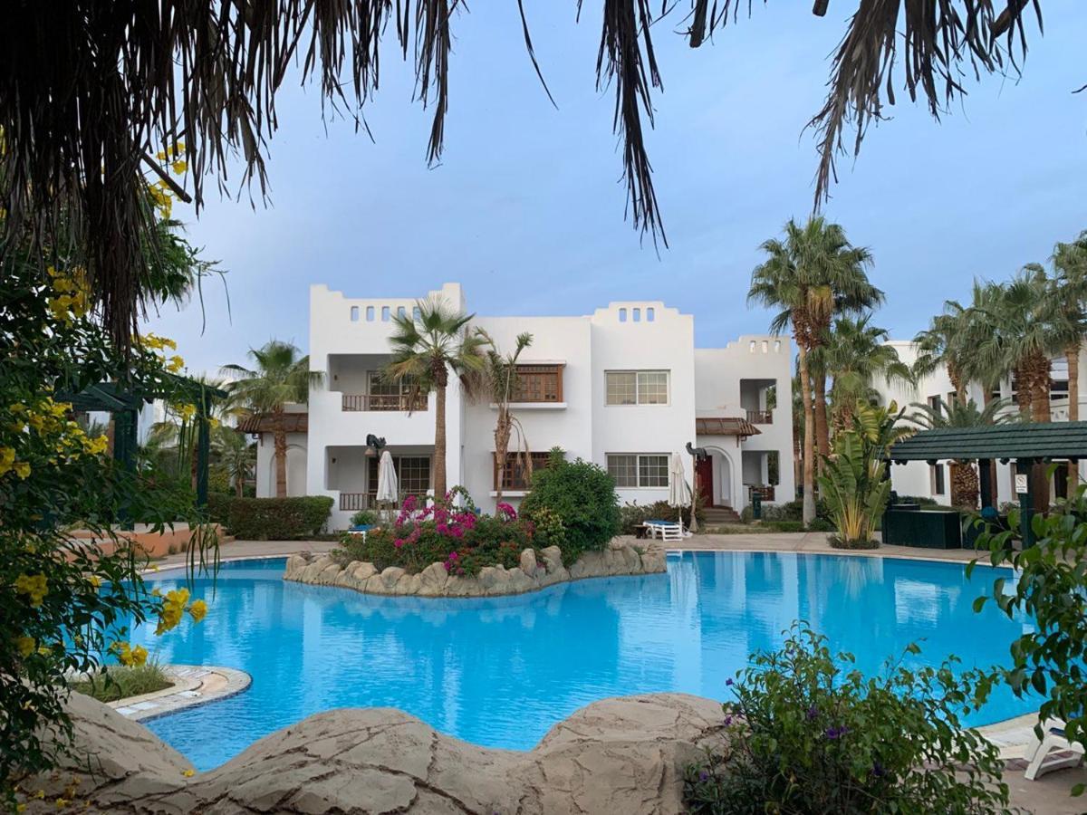 Beautiful Studio 163 Apartment Sharm el-Sheikh