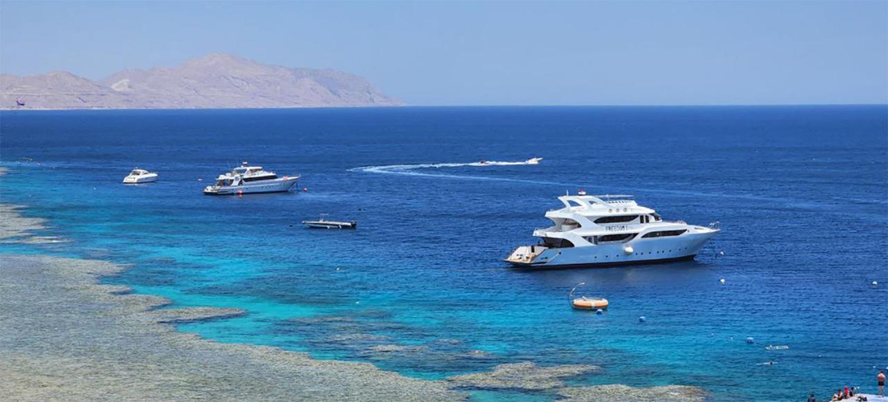 Beautiful Studio 163 Apartment Sharm el-Sheikh