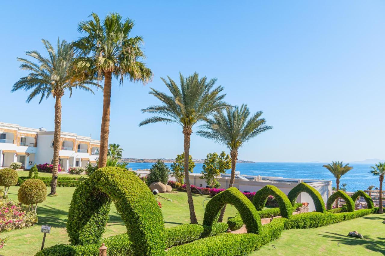 Resort Club Reef & Sharm El-Sheikh