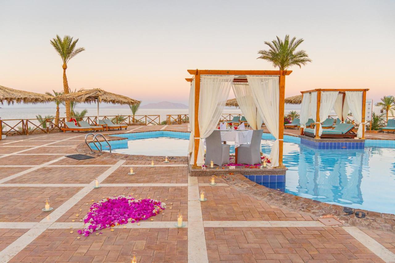 Club Reef & Resort 4*
