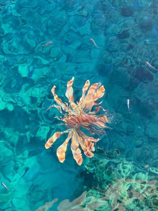Blend In Nature Camp * Sharm El-Sheikh