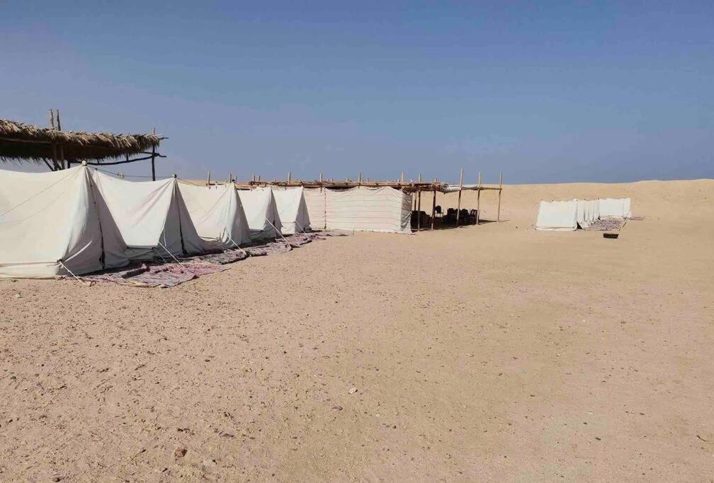 Blend In Nature Camp * Sharm El-Sheikh