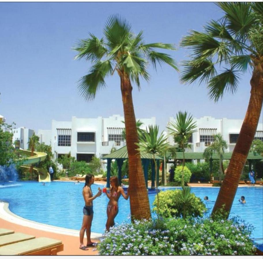 Apartment Delta Resort. Studio. Sheikh *