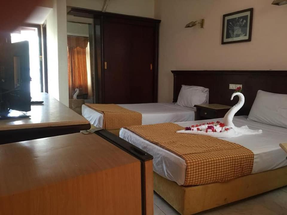 Regency 3* Sharm el-Sheikh