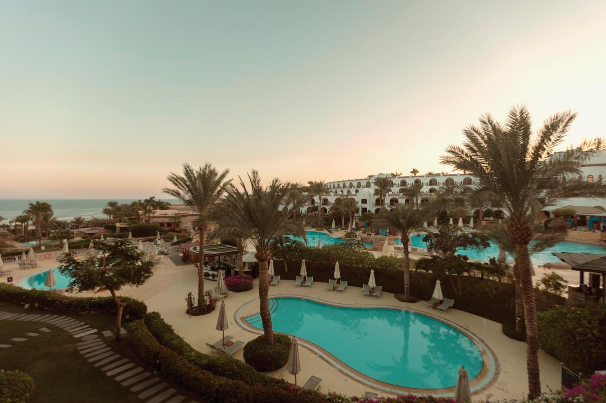 Royal Savoy Sheikh (adults Only)
