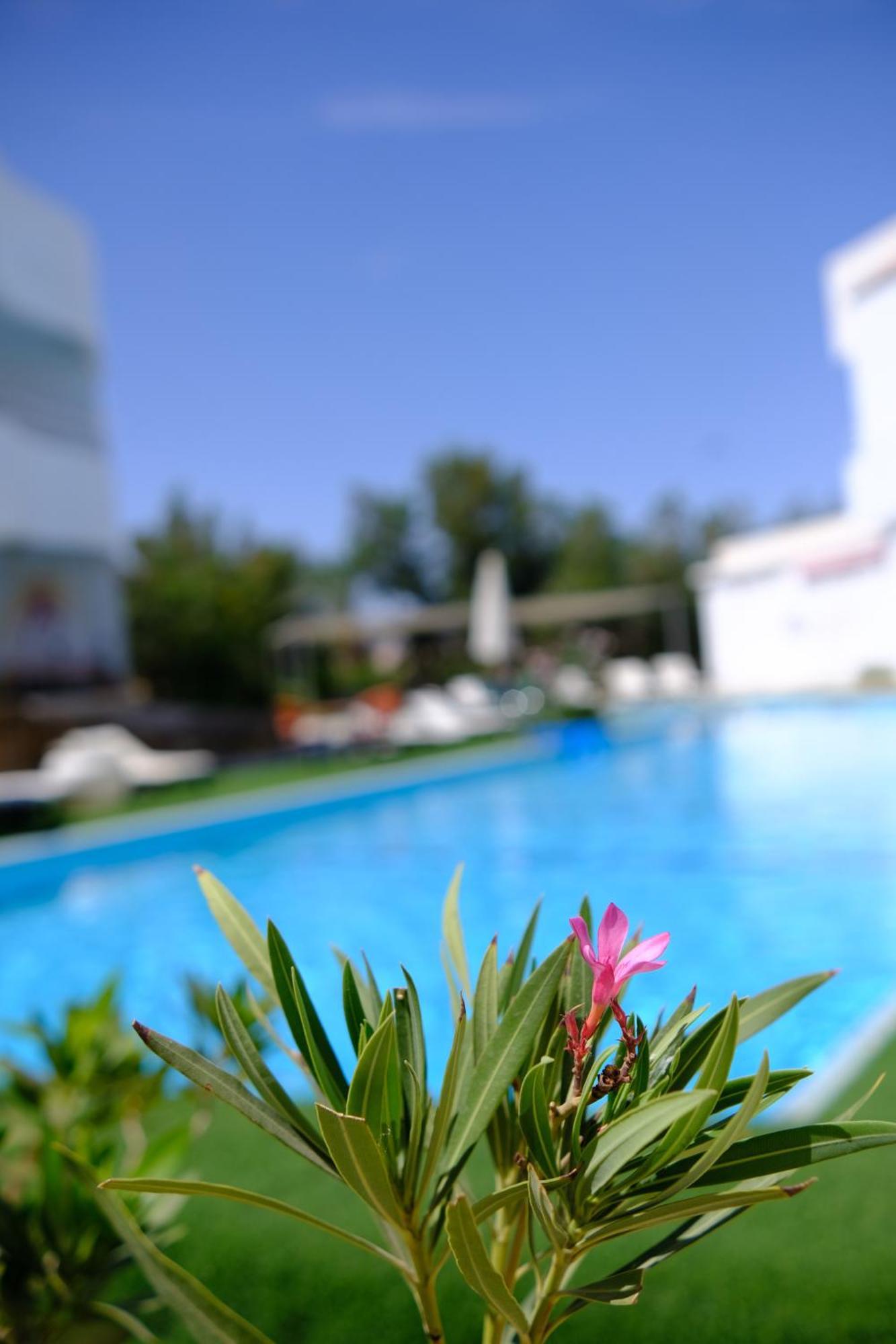 Viking Club Bed & Breakfast Sharm el-Sheikh
