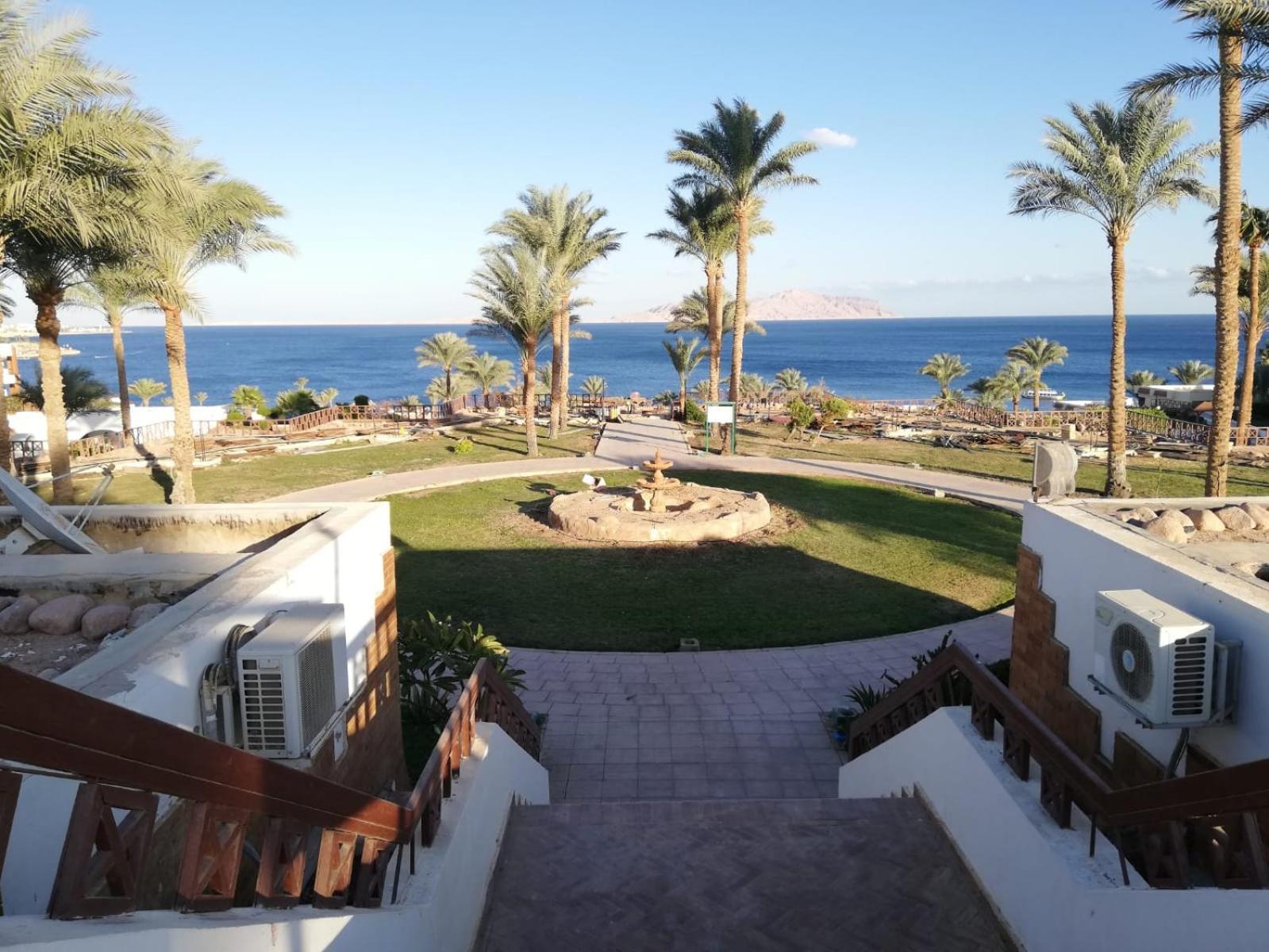 Nemo, Vista Mare, Sharks Bay, Sheikh