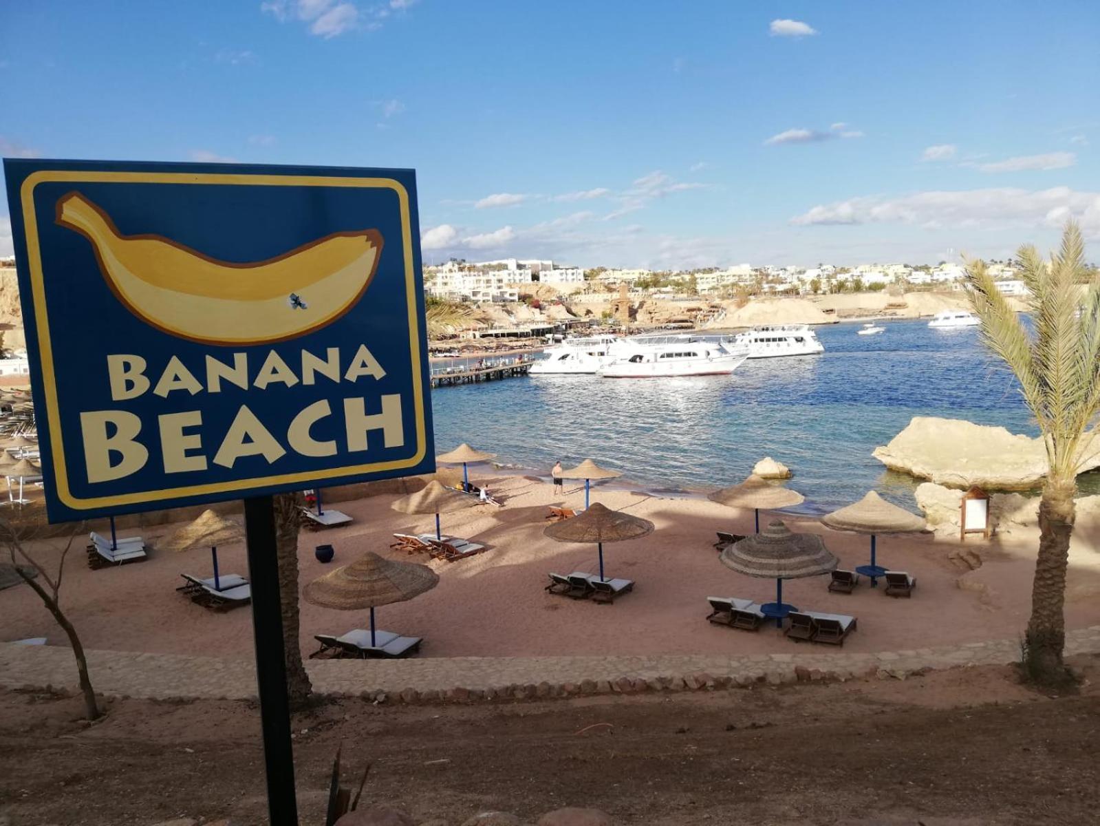 Nemo, Vista Mare, Sharks Bay, Sheikh