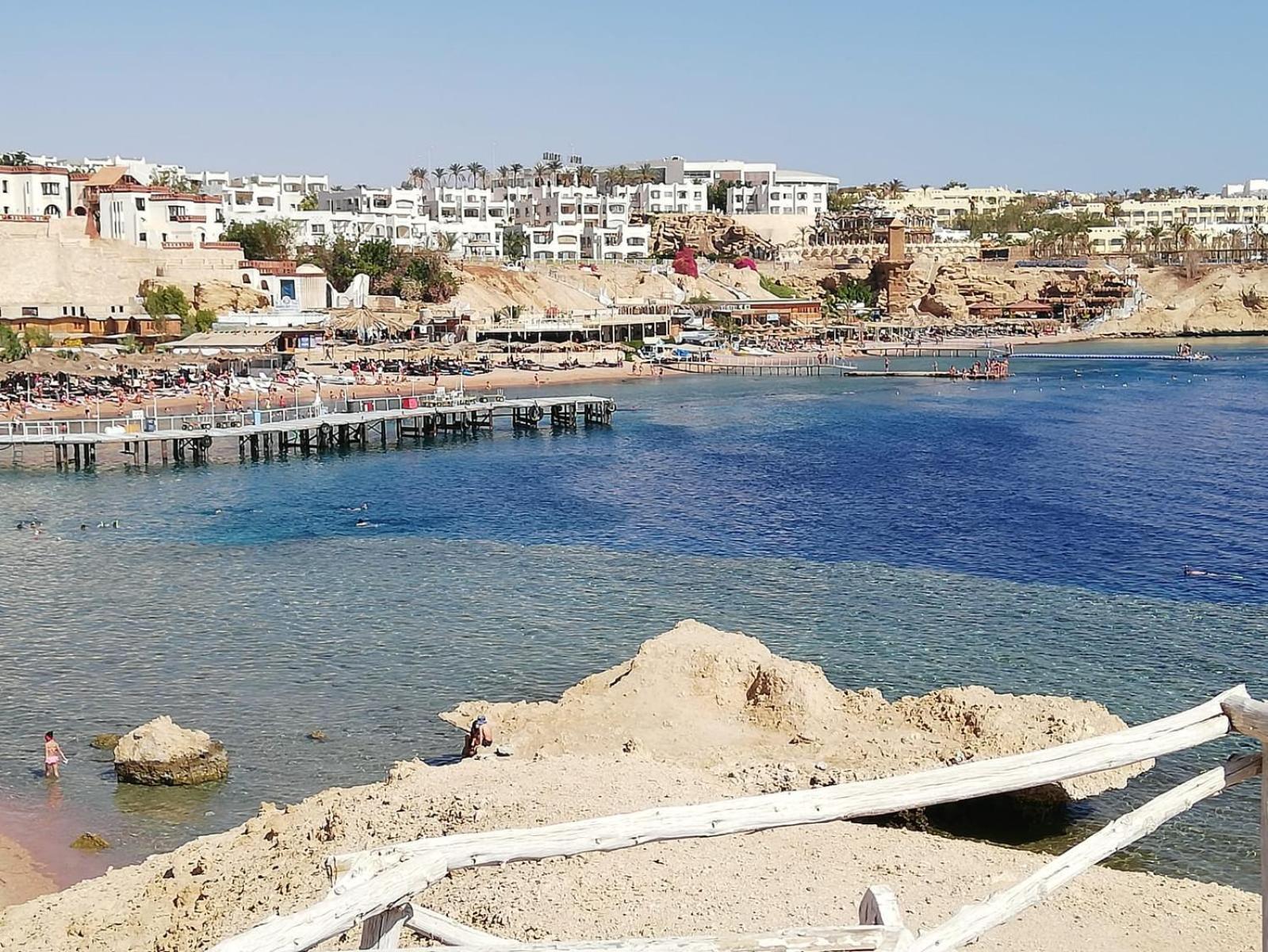 Nemo, Vista Mare, Sharks Bay, Sheikh *