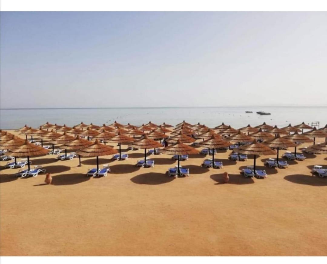 Daire Golden Porto Sharm