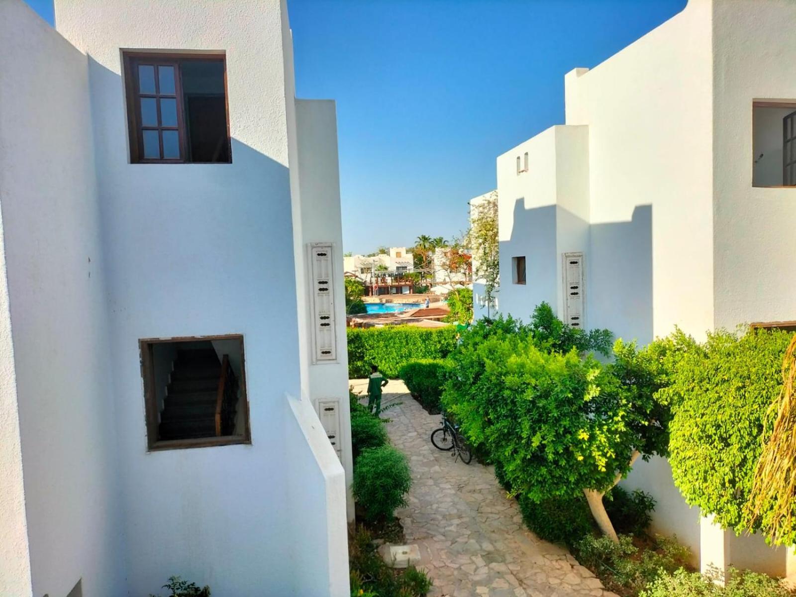 Delta Apartment
