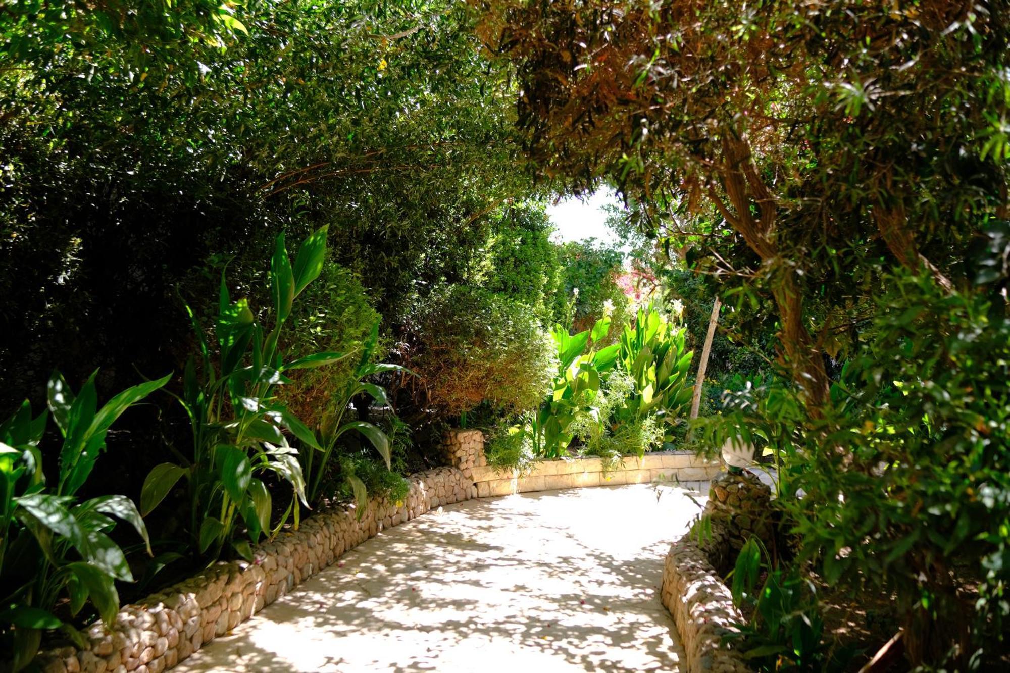 Viking Club Bed & Breakfast Sharm el-Sheikh