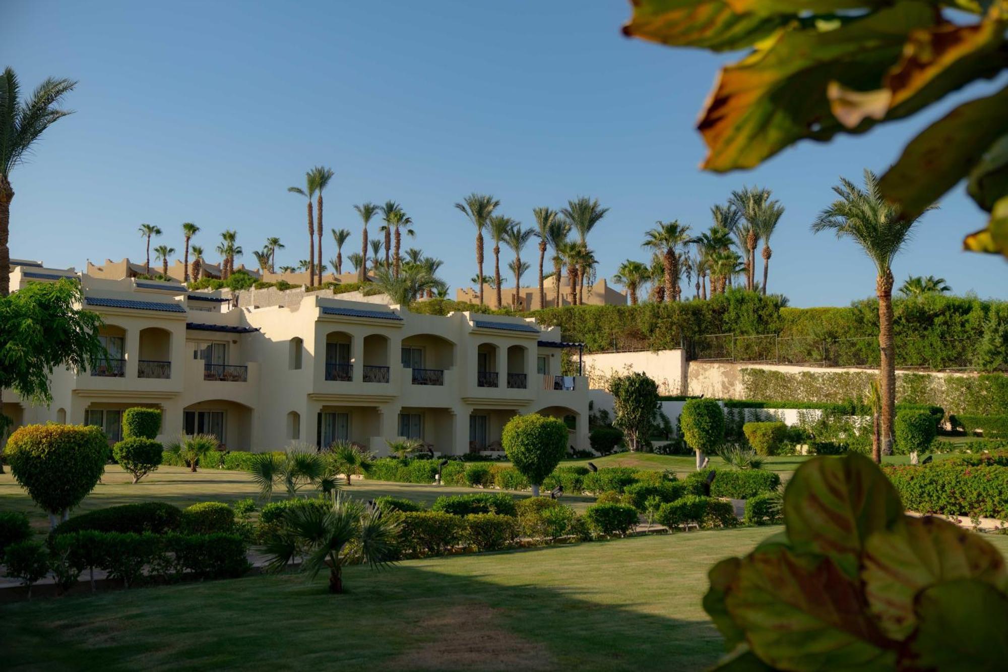 Grand Oasis 4* Sharm el-Sheikh