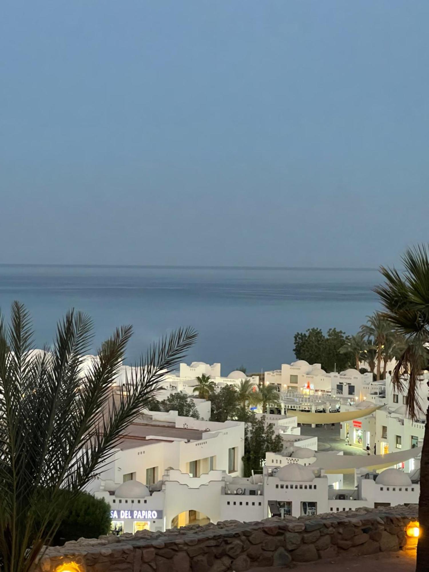 Domina Coral Bay Sheikh *