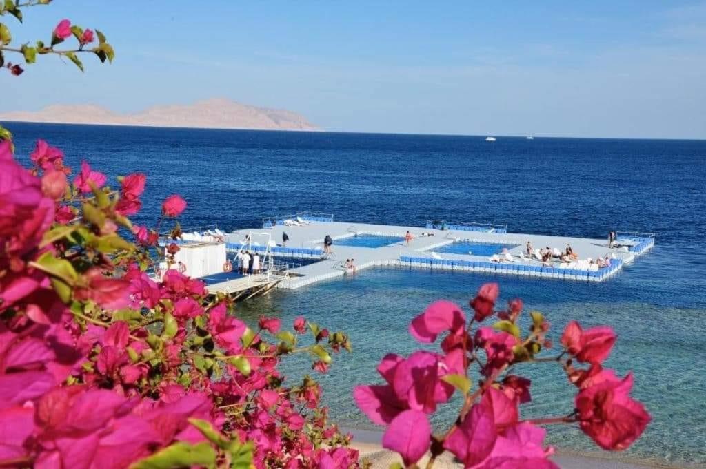 Hotel Elisir & At Sheikh Coast
