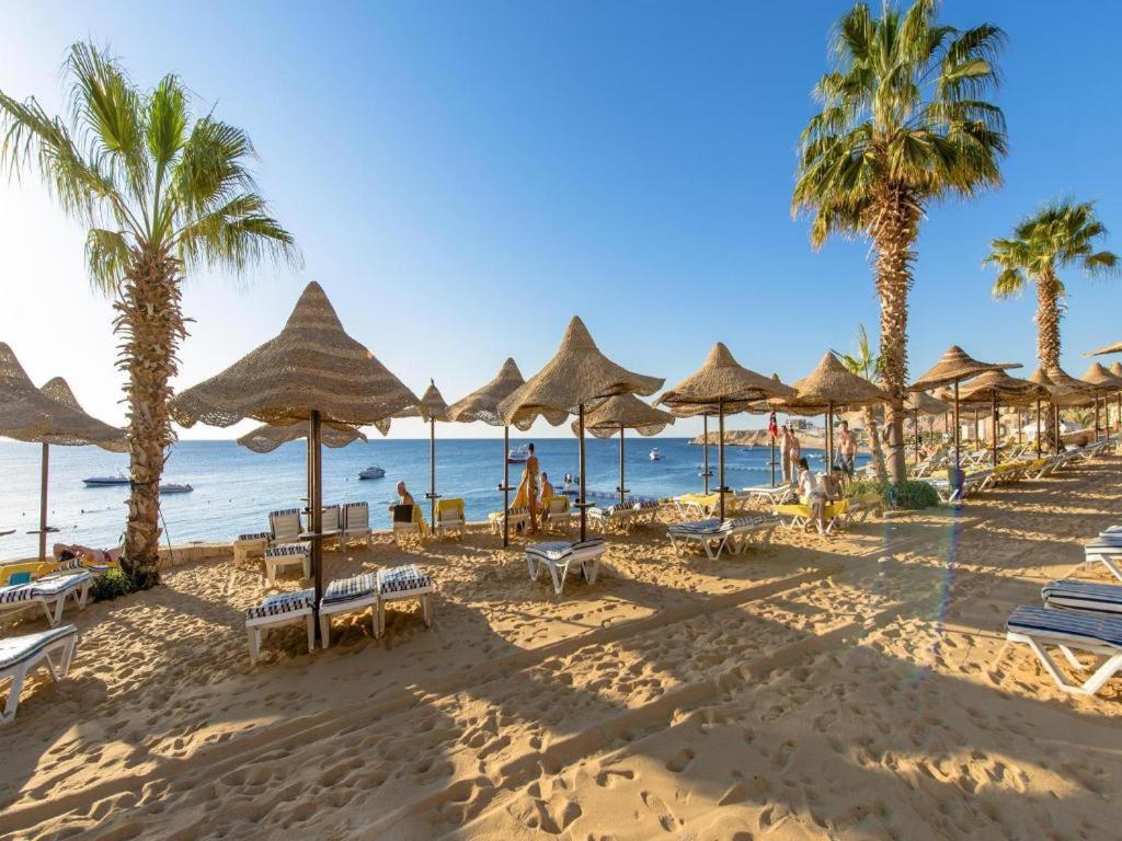 Hotel Concorde El Salam Shiekh 5*