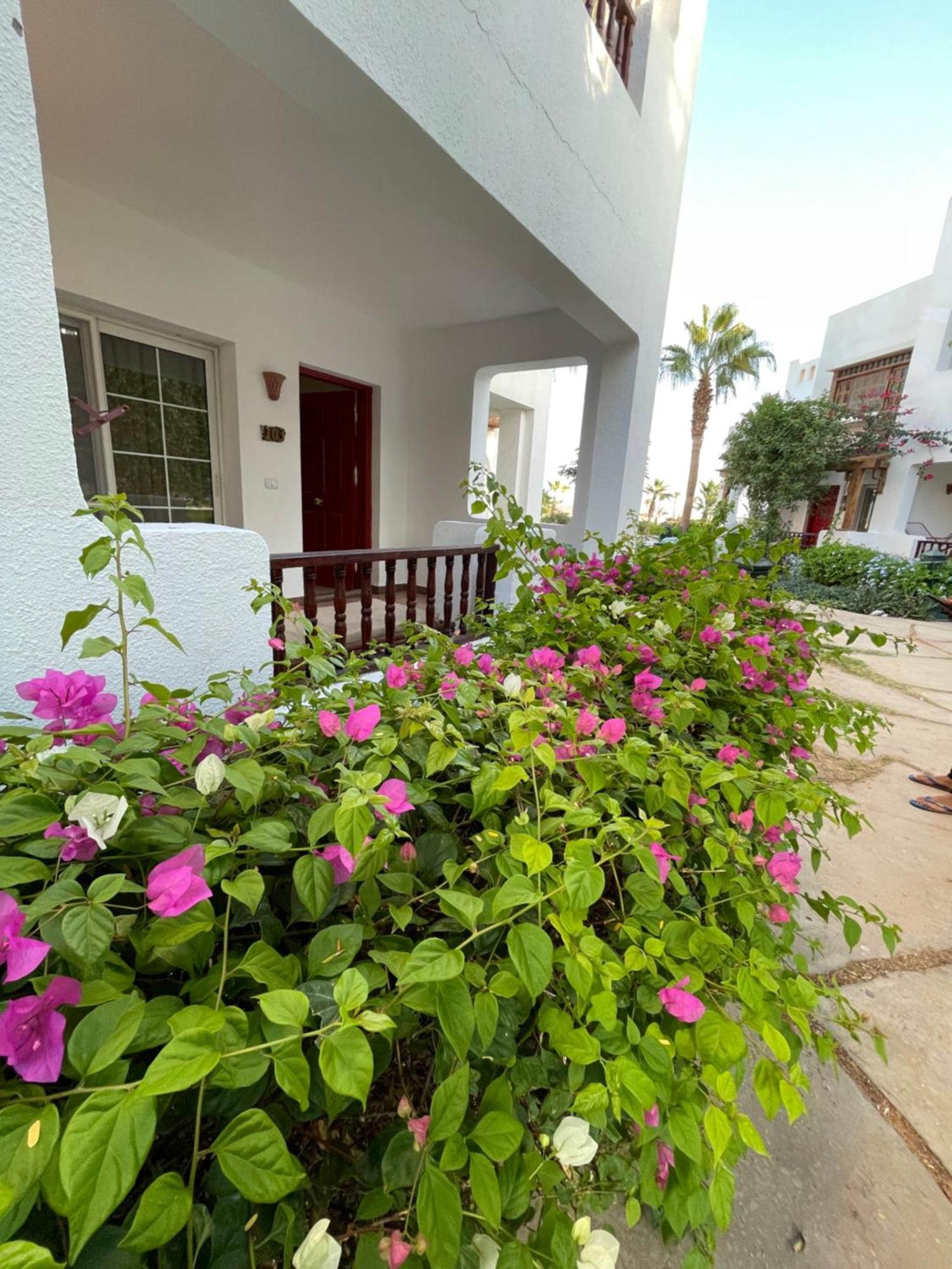 Delta With Free Internet Wi-fi Apartment *
