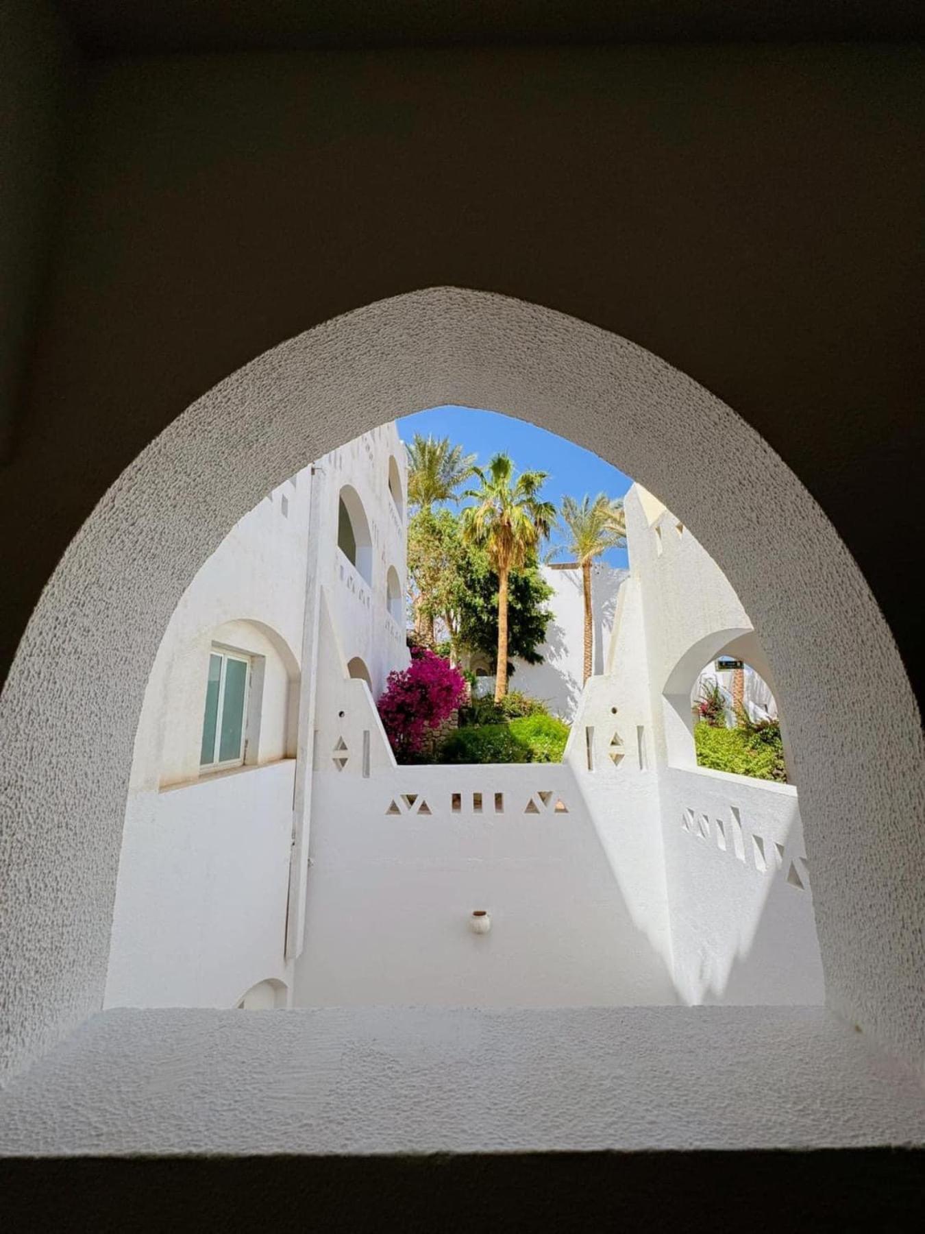 Domina Coral Bay