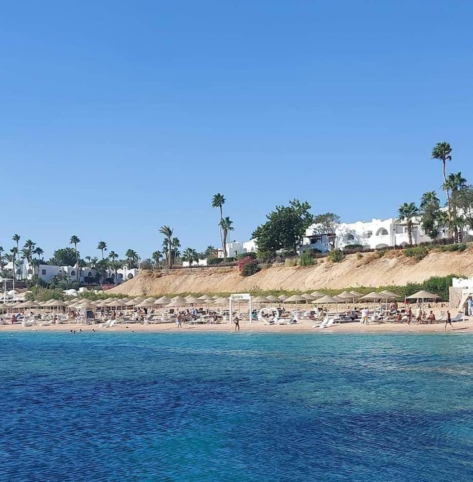 Domina Coral Bay Appartament Appartamento