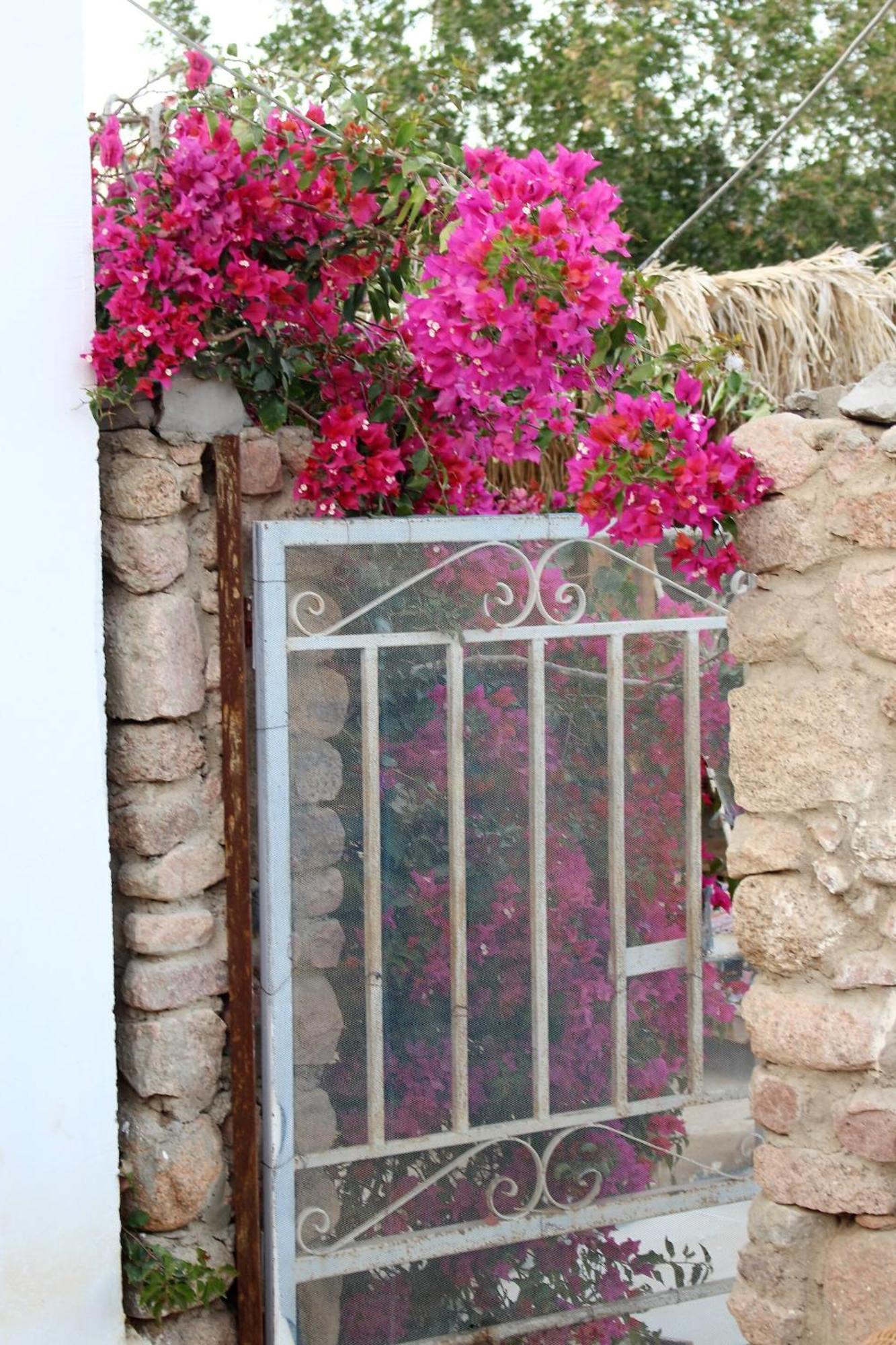 Sinai Old Spices Bed & Breakfast Sharm el-Sheikh