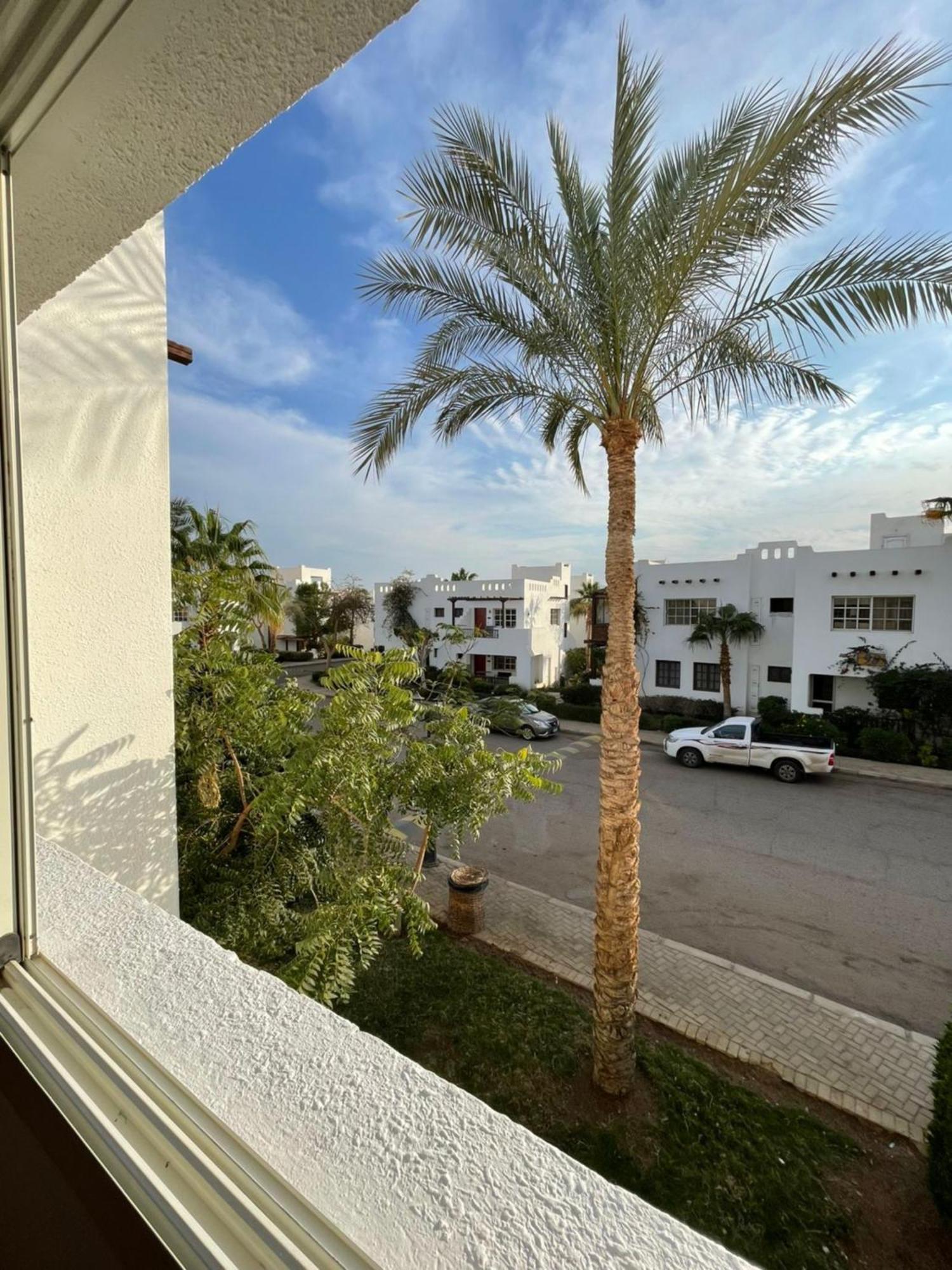 Apartment Delta Sharm Resort - Sharm El-Sheikh