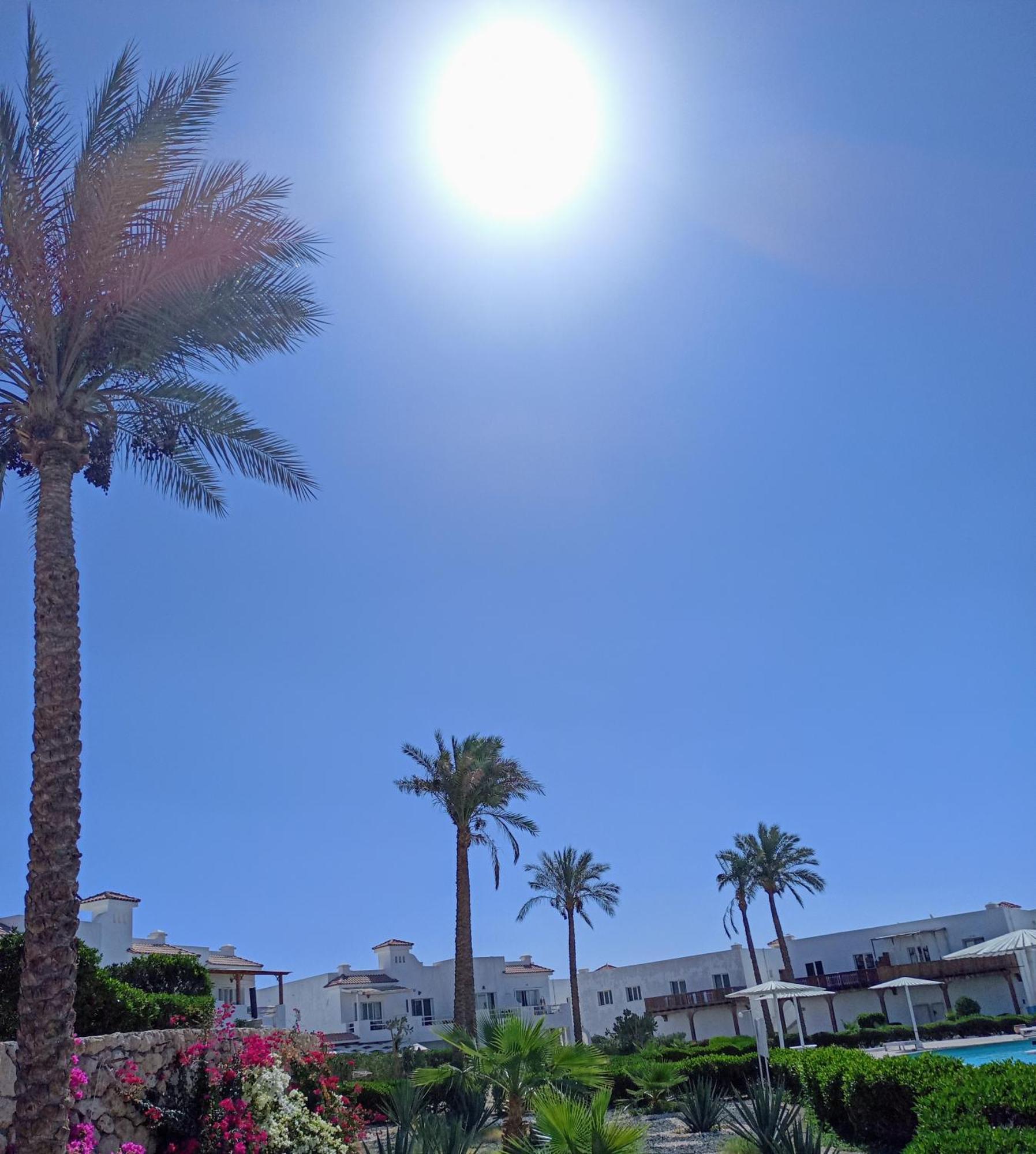 Apartment Naama Bay *