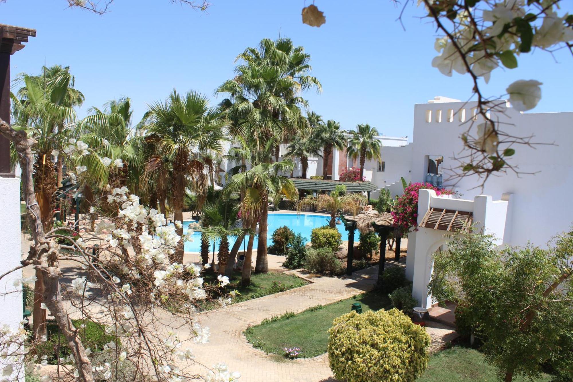 Appartement Cozy With Pool View