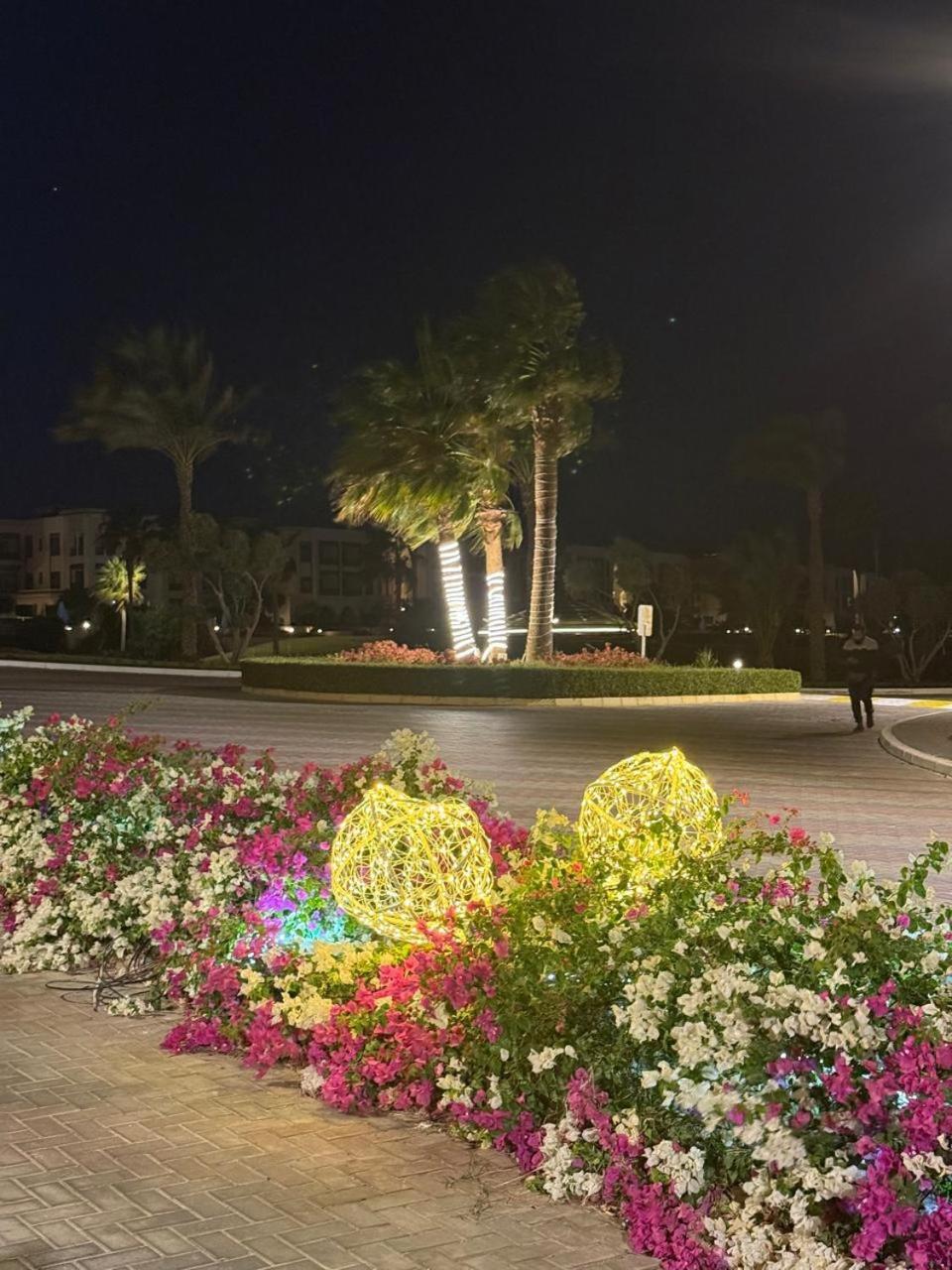 One Bd Golf Heights Sheikh Free Wifi Apartment *