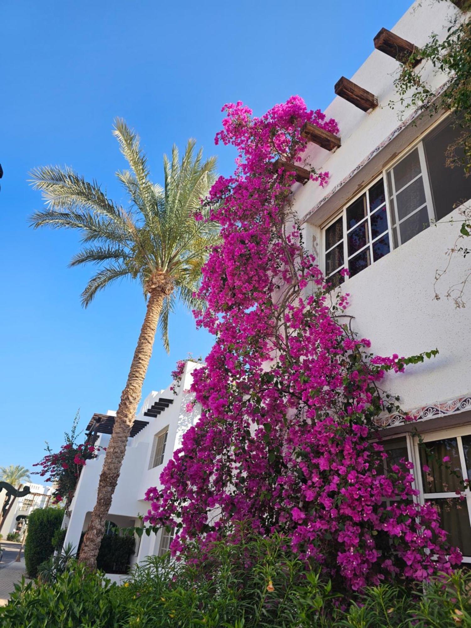 Blue Bay Delta Appartement