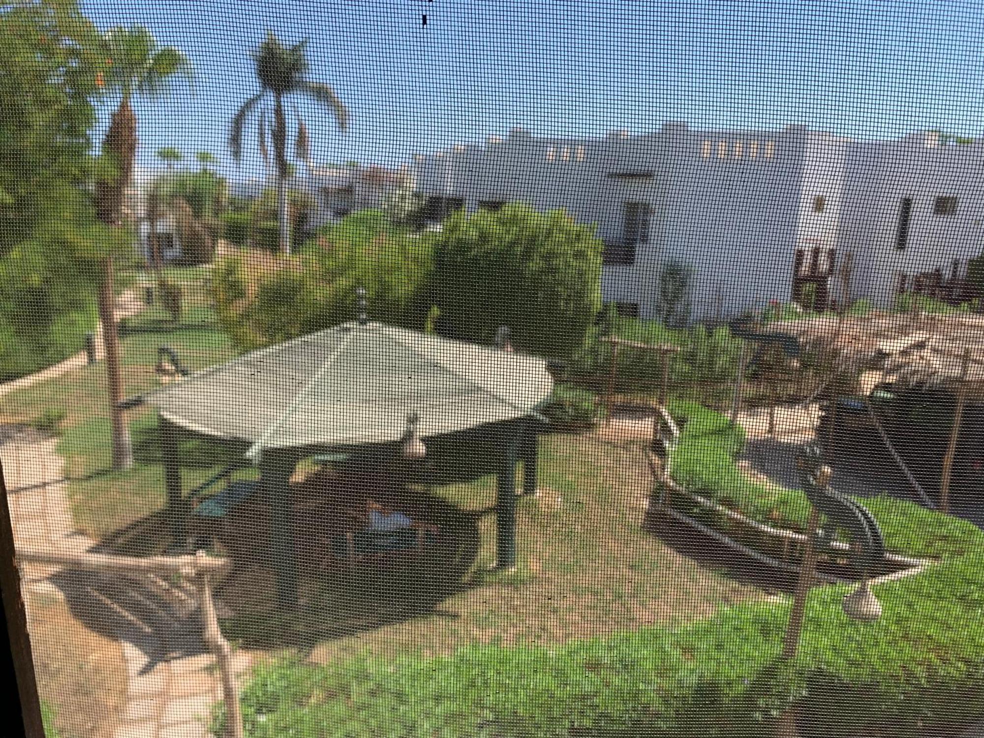 Apartamento Delta