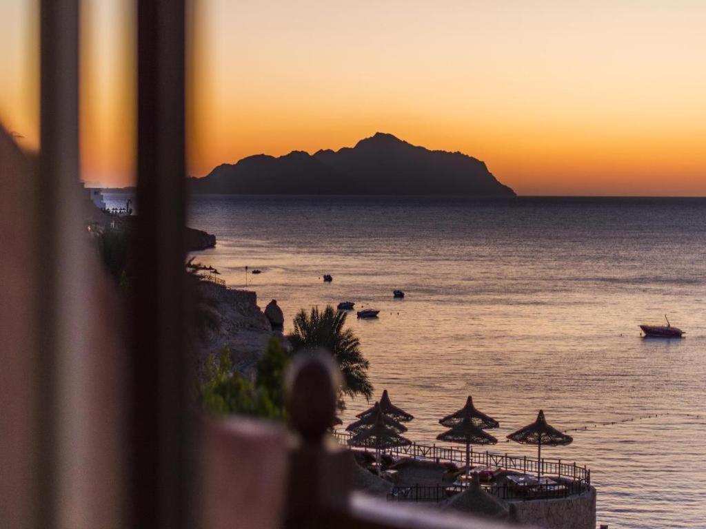 Concorde El Salam Shiekh Hotel Sharm El Sheikk