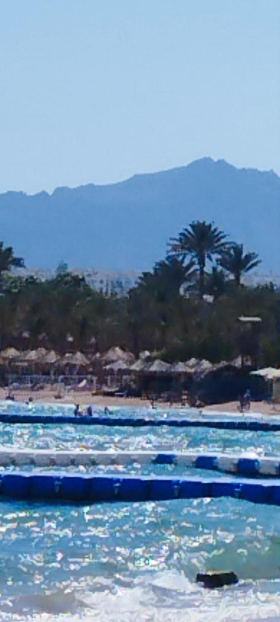 Naama Wiew- Alle Due Palme Sharm el Sheikh