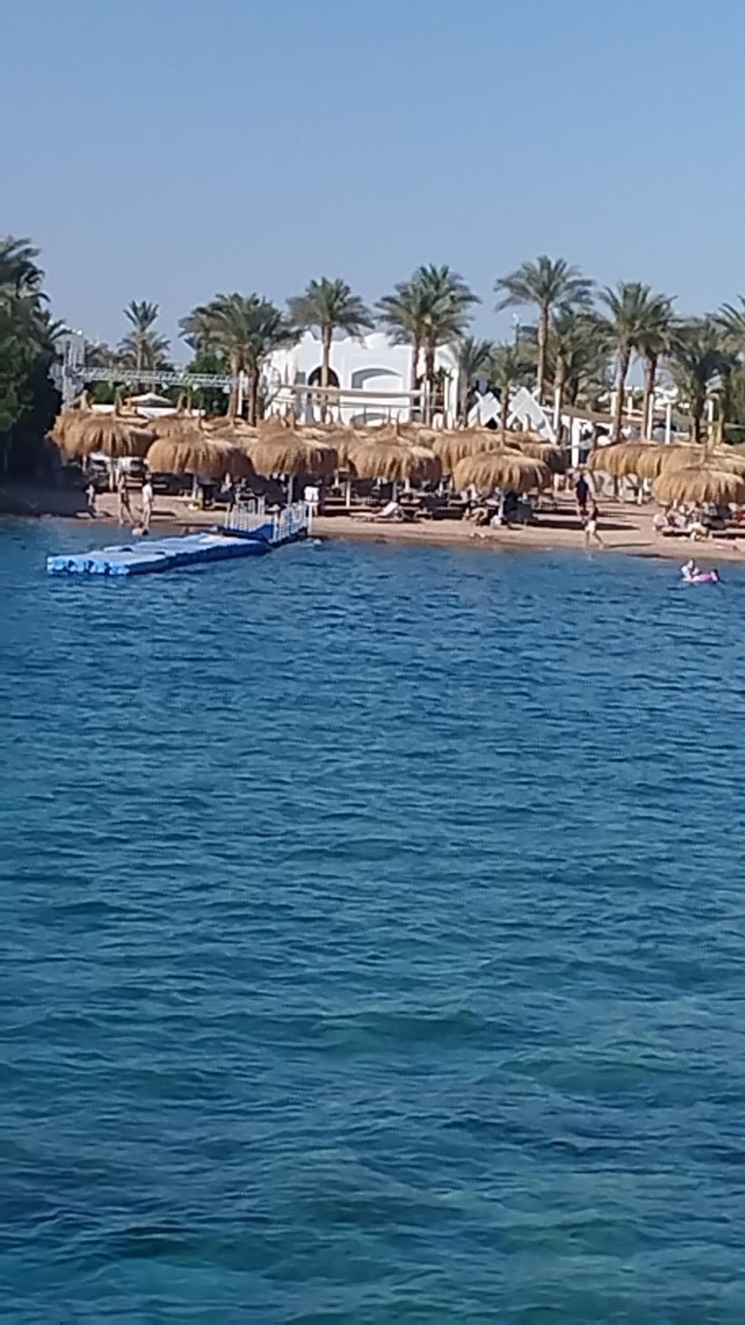 Naama Wiew- Alle Due Palme * Sharm el Sheikh