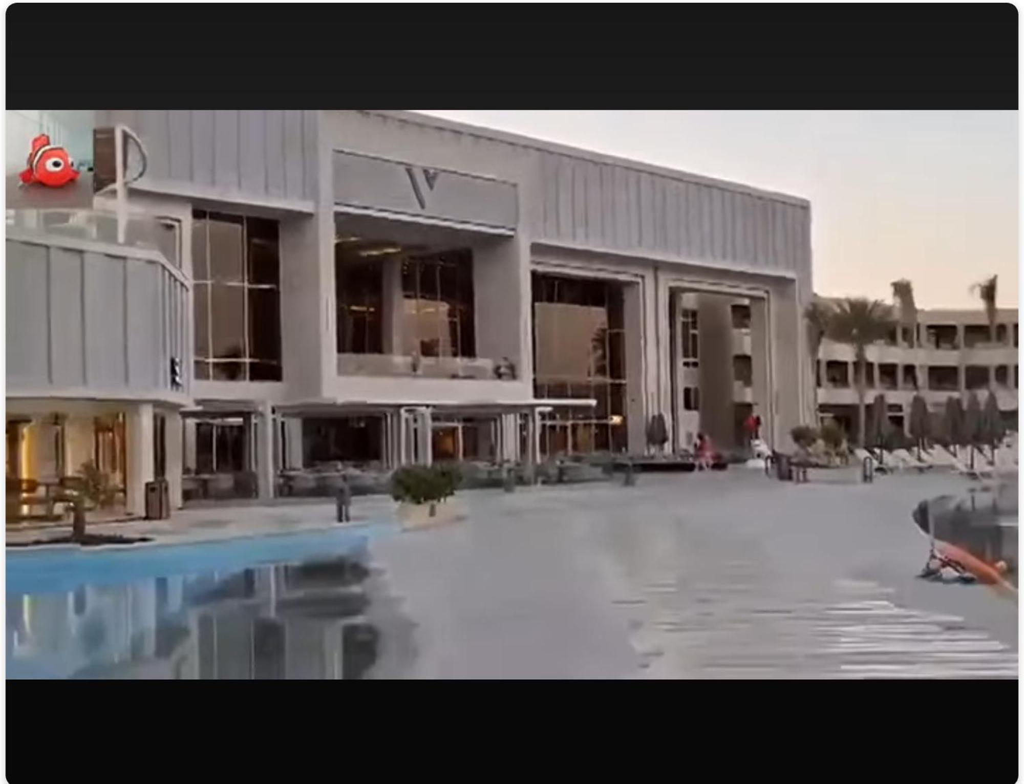 Gamal V * Şarm El-Şeyh