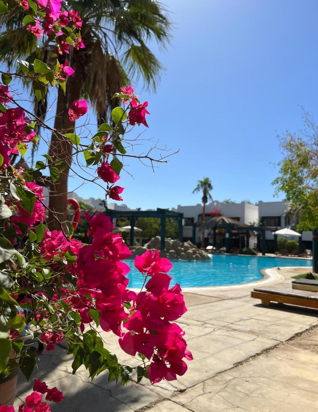 Relaxing In The Heart Of Town Sharm el-Sheikh