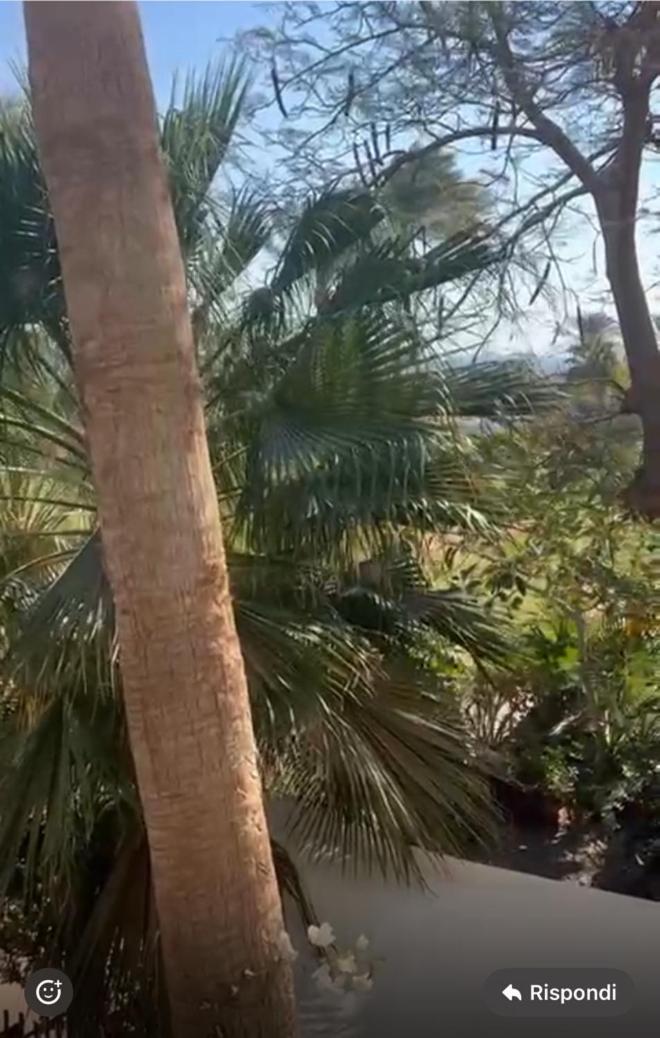 Resort Domina Coral Bay