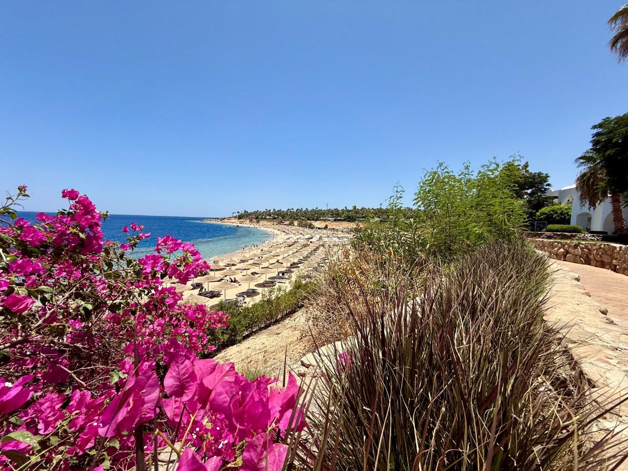 Domina Coral Bay