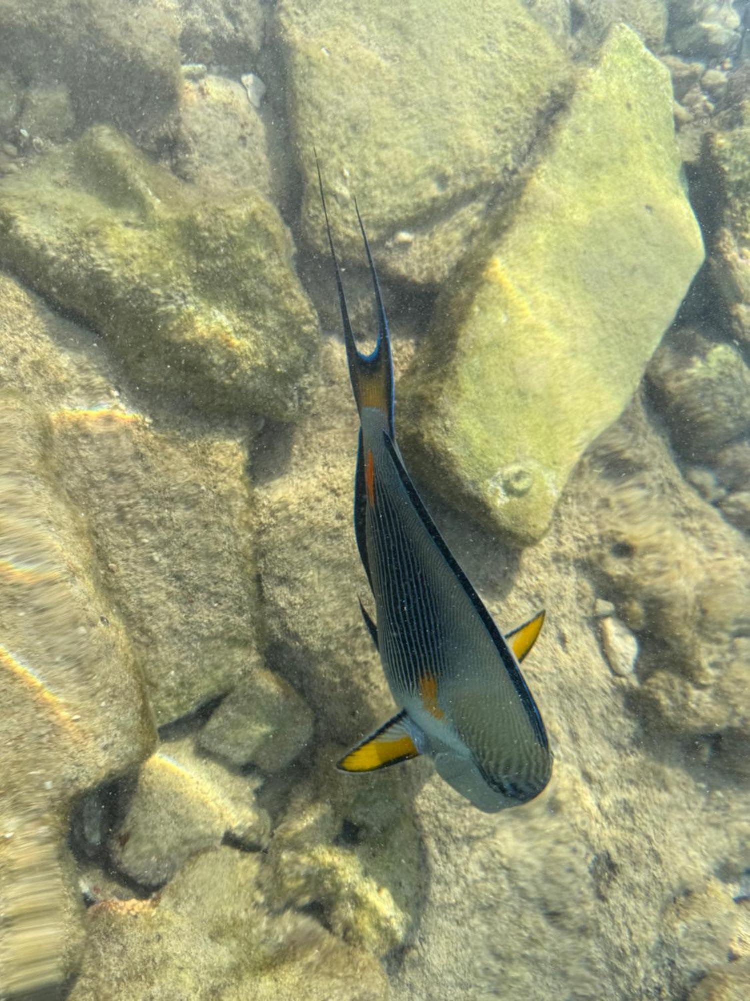 Domina Coral Bay