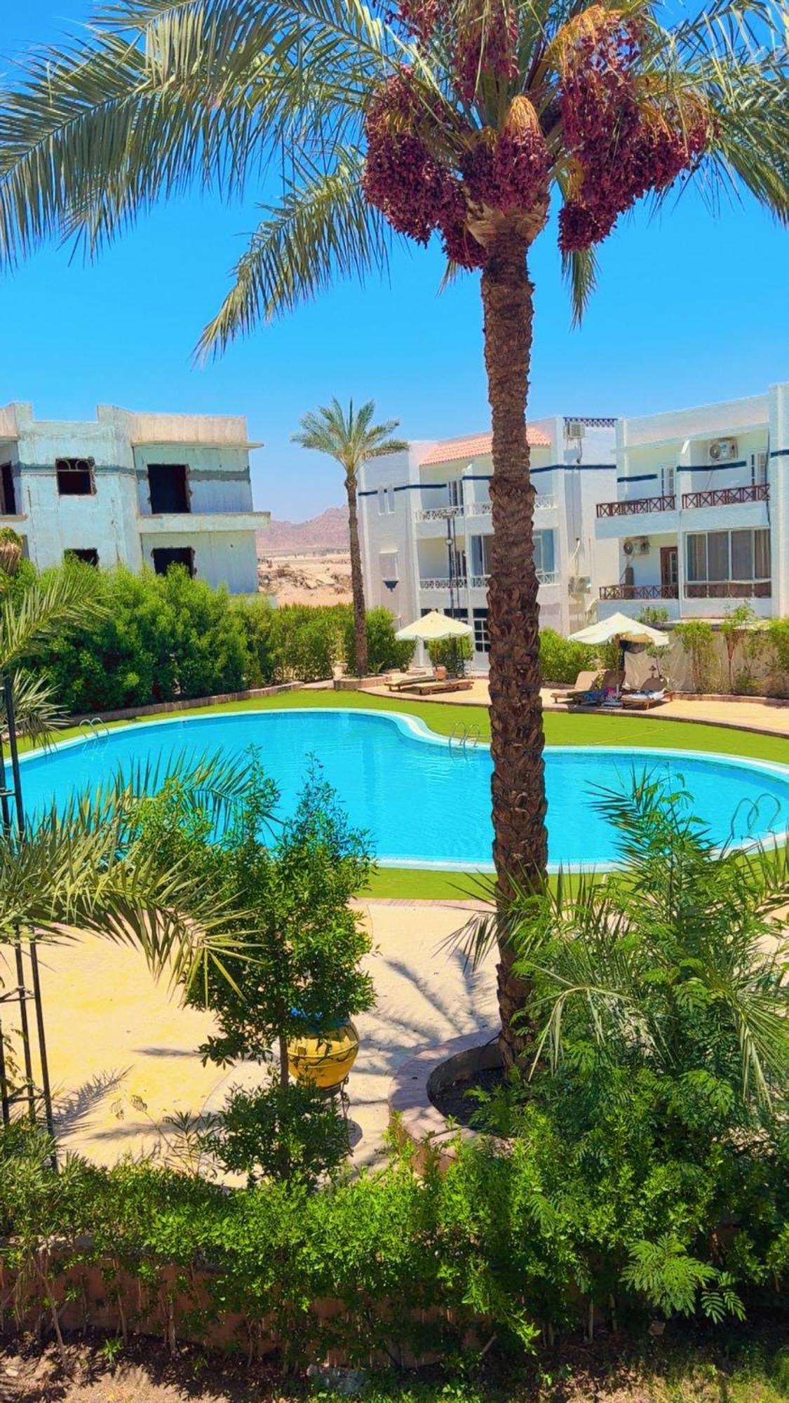 Luxury Perfect Location Pool View *
