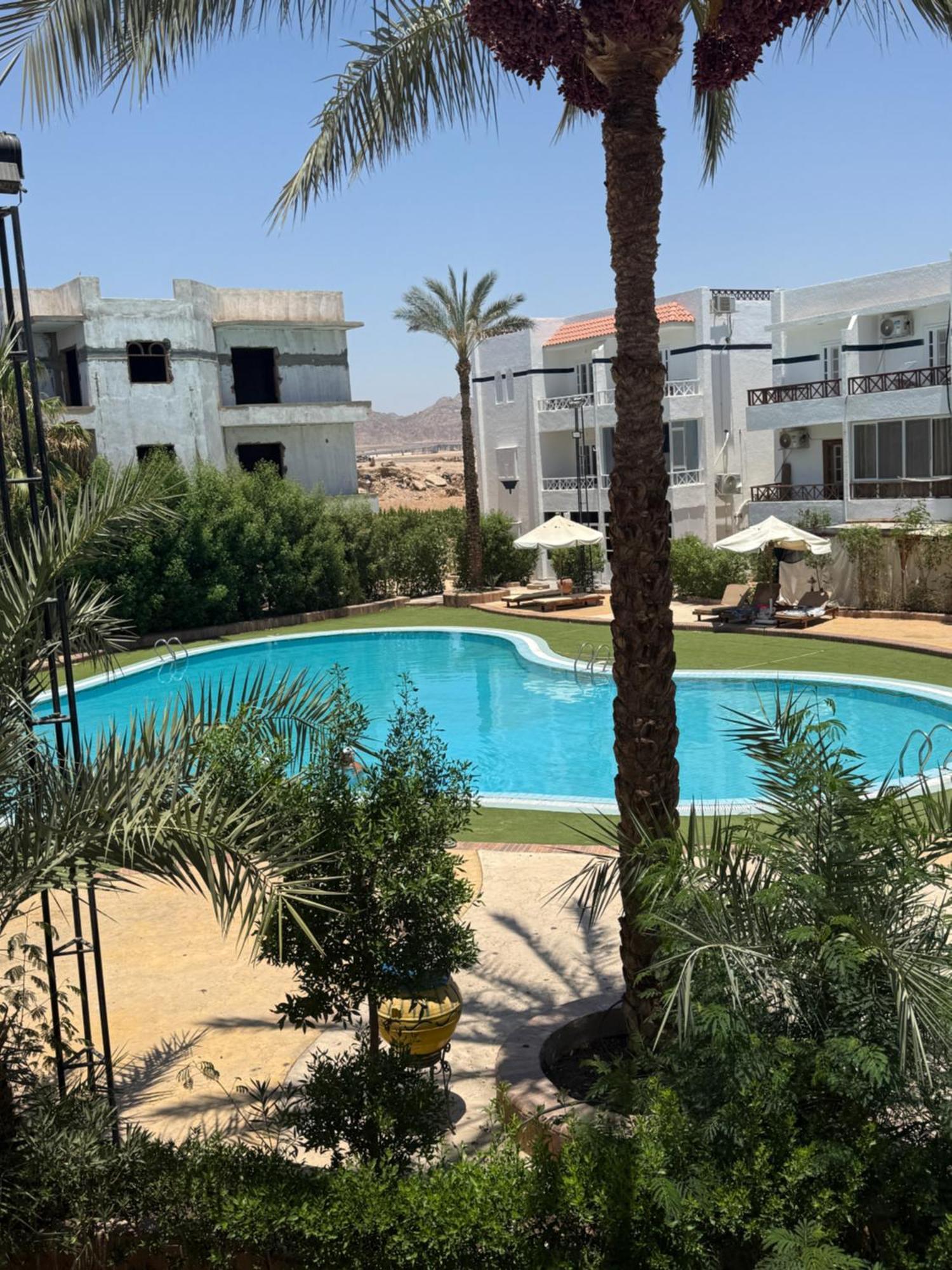 Appartement Luxury Perfect Location Pool View