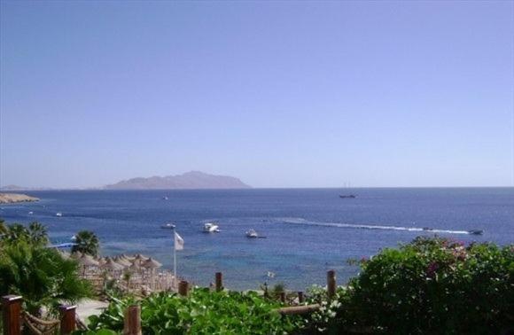 Island Garden 4* Sharm el-Sheikh