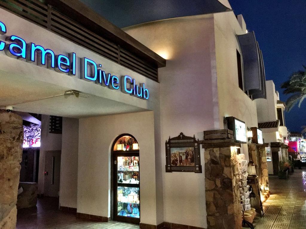 Camel Dive Club & - Boutique Resort