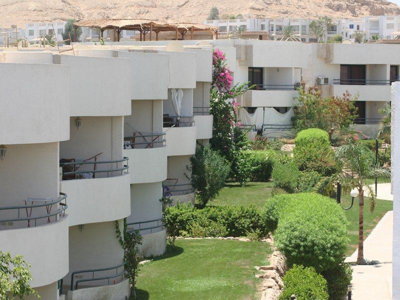 Viking Club Sheikh Resort 4*