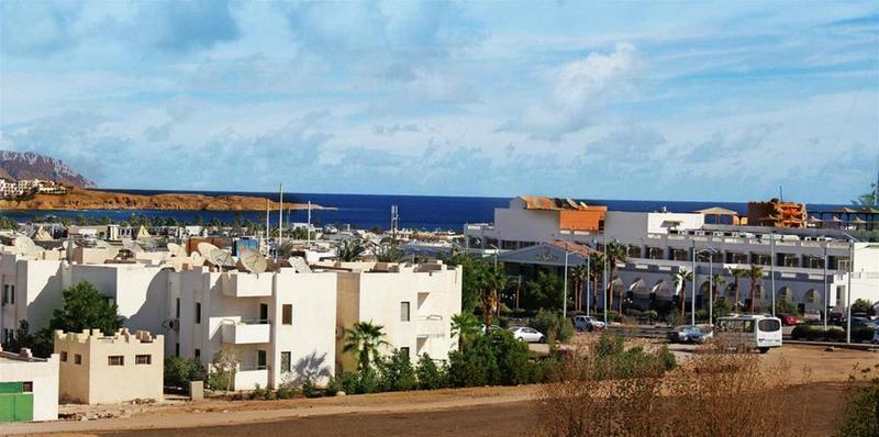 Viking Club Sheikh