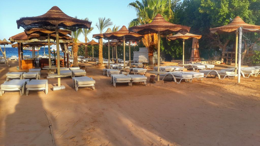 Cataract Layalina Naama Bay 3* Sharm El-Sheikh